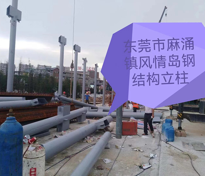东莞市麻涌镇风情岛钢...